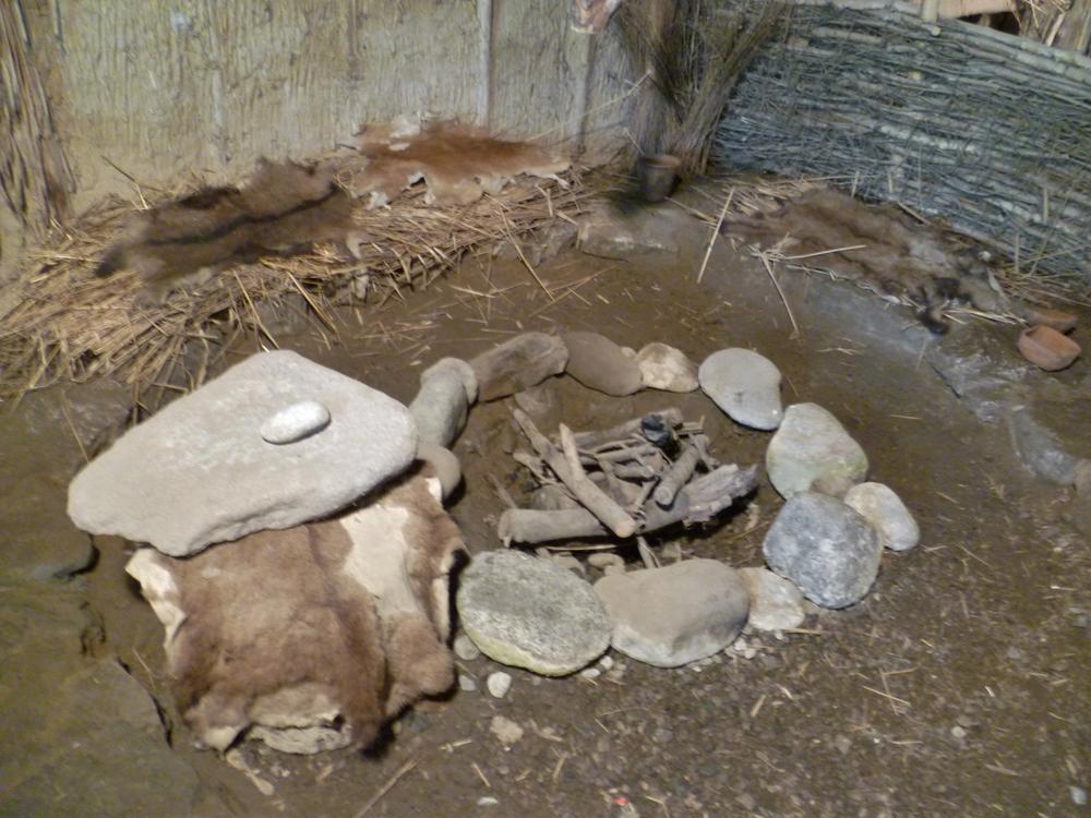 foyer préhistorique