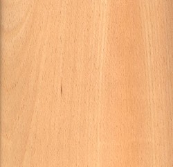 legno faggio