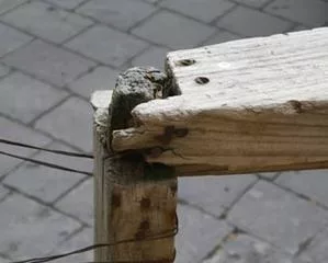 Togliere le schegge