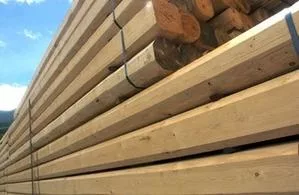 Il tipo di legno per travi