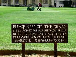 ne marchez pas sur la pelouse