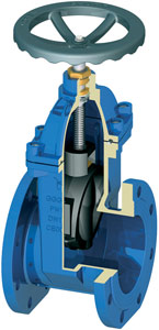 gate valve