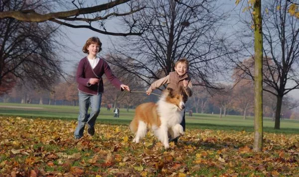 passeggio cane