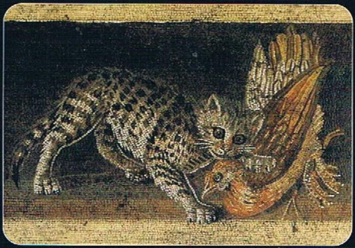 gato en la antigua roma