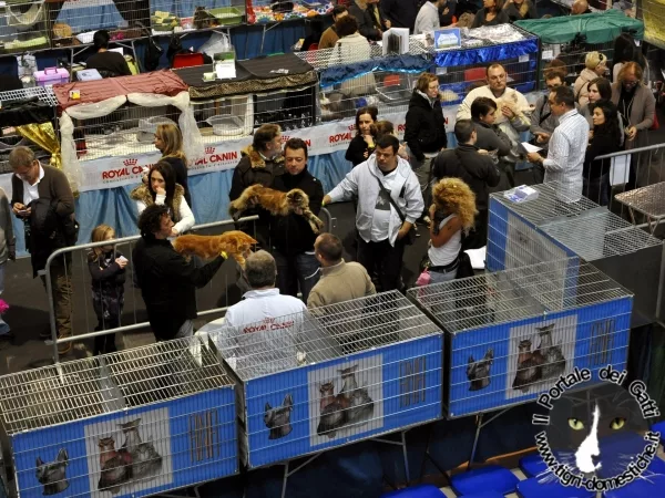 Partecipare a un'esposizione
