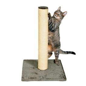 cat who gets his nails on the scratching post