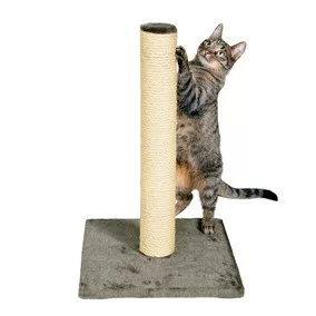 gatto che si rifà le unghie sul tiragraffi