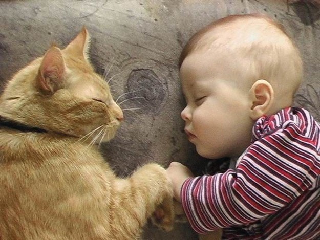 If female the cat will tend to adopt the human cub and will want to sleep with him
