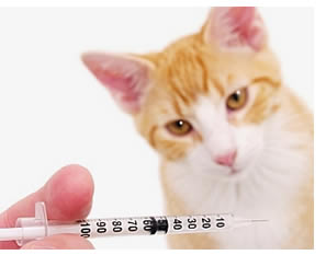 alcuni vaccini possono essere somministrati solo dal veterinario