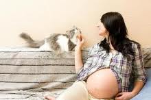 toxoplasmosis is especially dangerous for pregnant women