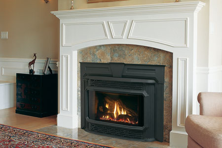 fireplace insert