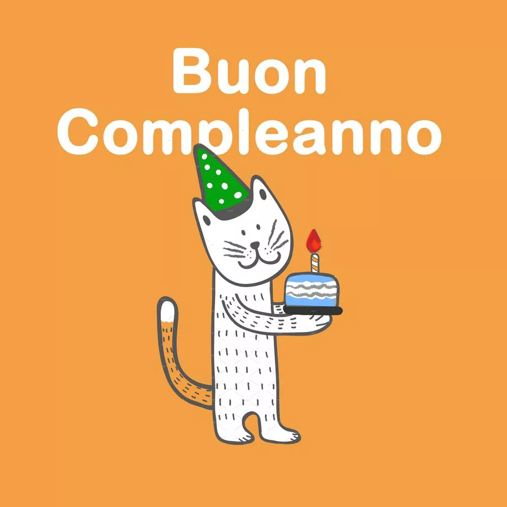 Come calcolare l'età del gatto