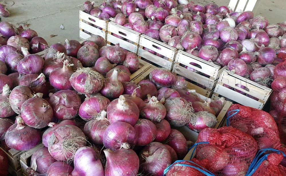 cipolle breme griglia