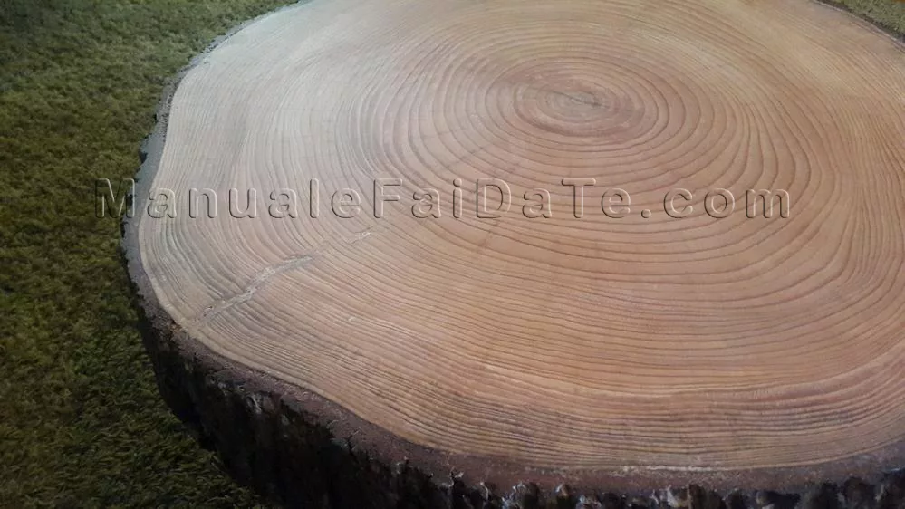 tabla de troncal baja