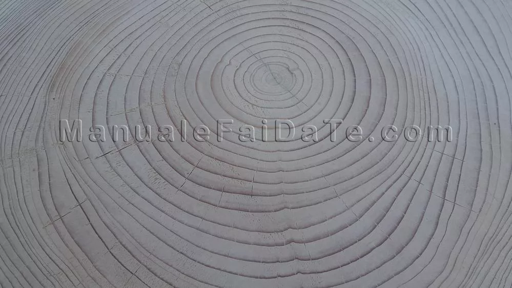 tabla baja troncal