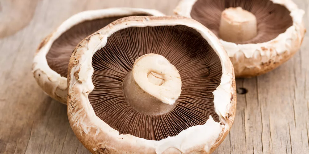 Funghi alla piastra