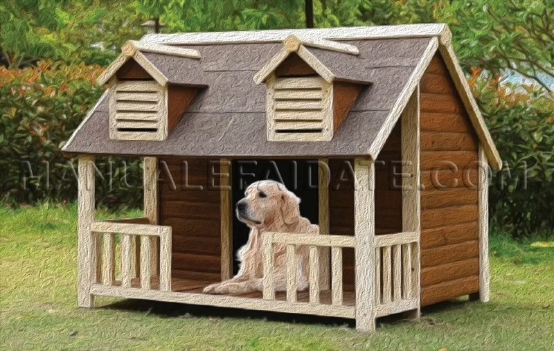 cuccia cane